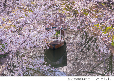 Kyoto: Fushimi Jikkokubune boats and cherry blossoms in full bloom 124941719