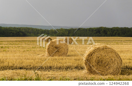 Twisted straw 124942268