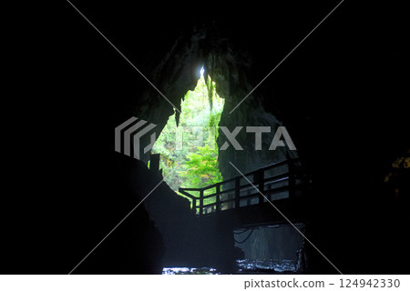 The mysterious view of the cave entrance seen from inside the open ceiling of Akiyoshi-do Cave, Akiyoshidai, Chugoku region, Miya City, Yamaguchi Prefecture (6) 124942330