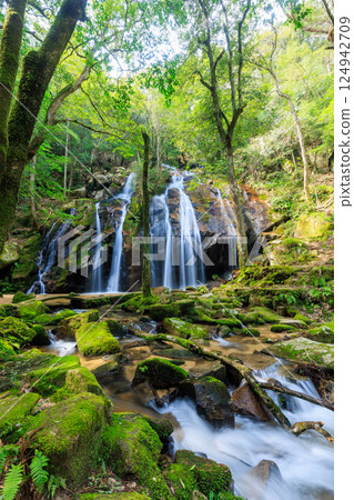 Kanehiki Falls in spring, Miyazu City, Kyoto Prefecture 124942709