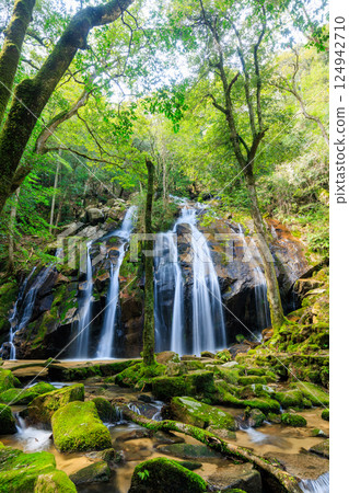 京都府宮津市春季的金引瀑布 京都府宮津市春季的金引瀑布 124942710