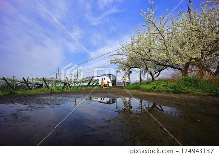 Peach fields and the Chuo Line 124943137