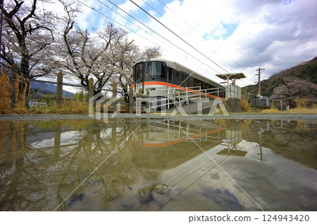 Minobu Line and cherry blossoms 124943420