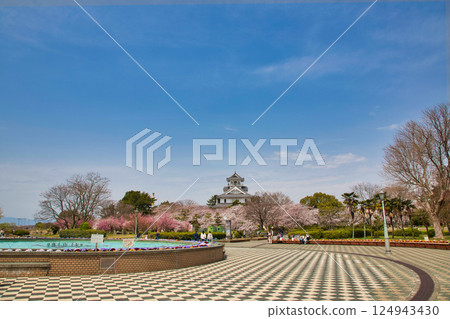 Sakura and Nagahama Castle 124943430