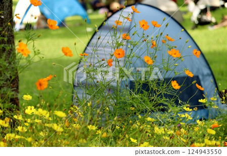 休息日和家人一起享受露營 124943550