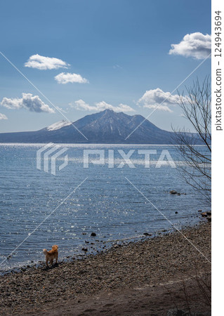 Dogs playing by the lake Dogs playing by the lake 124943694