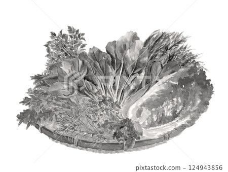 白色背景、透明背景上以水彩風格 [手繪] 繪製的漏勺中一組綠葉蔬菜的單調插圖 124943856