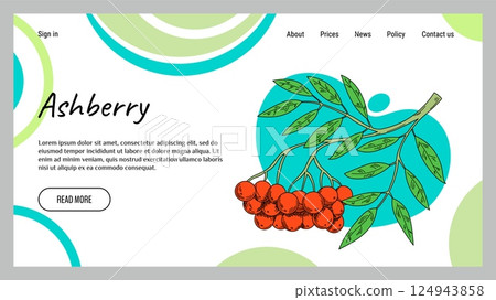 Ashberry web banner. Berry colorful sketch on abstract background, website design, healthy food ingredient, fresh organic fruit, vitamin botany product. Vector cartoon flat style isolated illustration 124943858