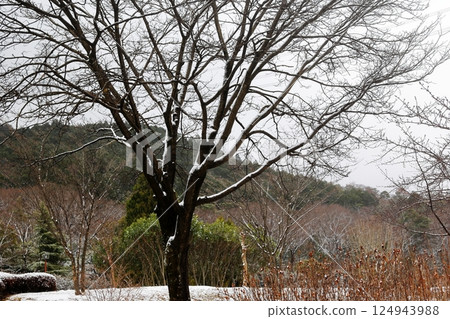 雪景 雪景 124943988