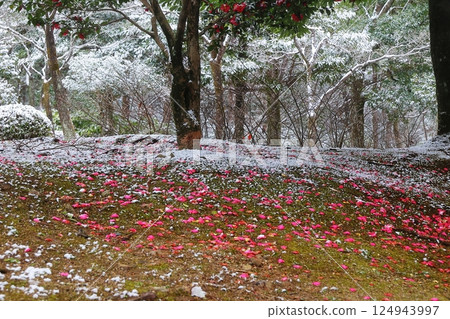 雪景 雪景 124943997