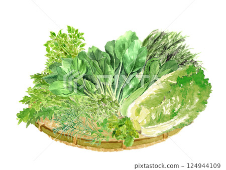 Watercolor illustration of a set of leafy vegetables in a colander [hand-drawn] on a white background, transparent background 124944109