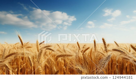 Wheat Field Border Design. Generative ai 124944181