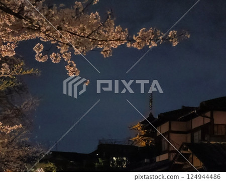 Yasaka Pagoda reflected behind the cherry blossoms 124944486