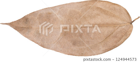 dry leaves. dry leaves. 124944573