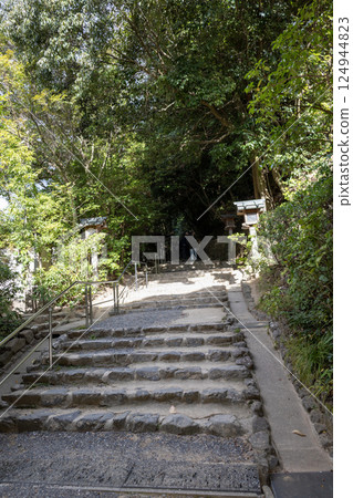 Ogami Shrine, Nara Prefecture / Approach to Katsuni Shrine (photographed in November 2024) 124944823