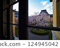 Weeping cherry tree seen through a window 124945042