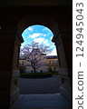 Weeping cherry blossoms through the arch 124945043