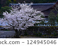 Cherry blossoms at Nanzenji 124945046