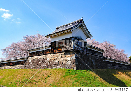 Shoryuji Temple with cherry blossoms in full bloom 124945187