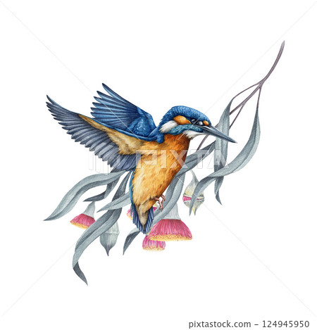 Flying kingfisher bird with eucalyptus branch on background watercolor illustration. Common kingfisher in flight against the backdrop of blooming tree twig. Wildlife nature scene of flying bird 124945950