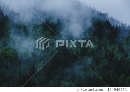 Beautiful high altitude foggy forest mountain landscape Beautiful high altitude foggy forest mountain landscape 124946331