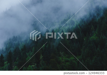 Beautiful high altitude foggy forest mountain landscape 124946333