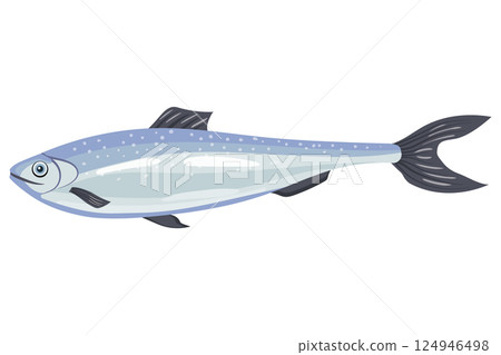 Herring fish, marine product icon Herring fish, marine product icon 124946498