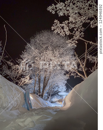 燈光照耀下的雪景 124946892