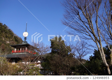 鳥取四季走冬天的花 124946955