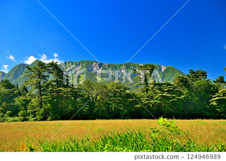 從鳥取縣中國地方大山隱岐國立公園大山町眺望大山陡峭的北面和美麗的山形(3) 從鳥取縣中國地方大山隱岐國立公園大山町眺望大山陡峭的北面和美麗的山形(3) 124946989