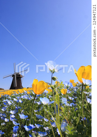 鶴見綠地花卉博覽會紀念公園風車之丘(鬱金香、粉紅蝶花) 鶴見綠地花卉博覽會紀念公園風車之丘(鬱金香、粉紅蝶花) 124947121