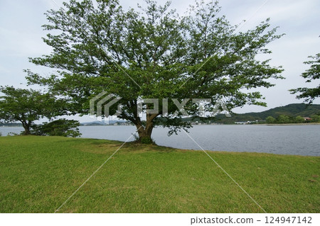 Tottori: Four Seasons Walks, Aoshima Tottori: Four Seasons Walks, Aoshima 124947142