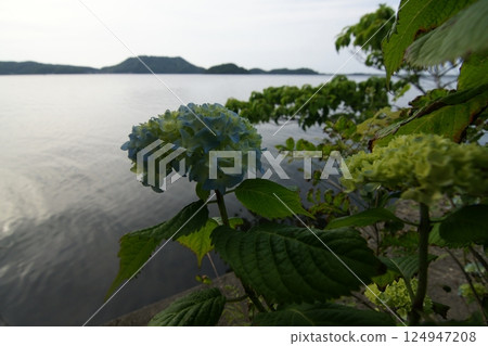 Tottori: Four Seasons Walks, Aoshima 124947208