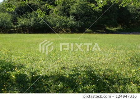 鳥取縣：四季漫步、青島 124947316