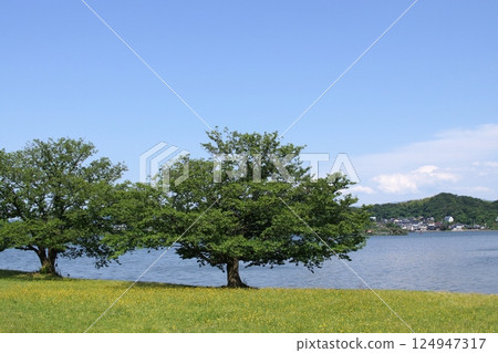 鳥取縣：四季漫步、青島 124947317