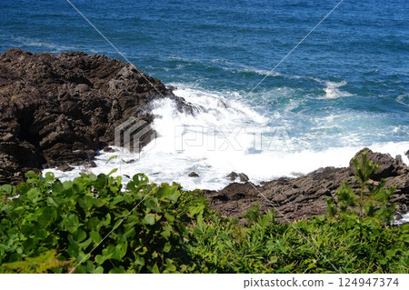 Rocky area of the Tango Peninsula Rocky area of the Tango Peninsula 124947374
