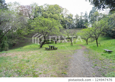 Near Yamanaka Bunen (Tama Hills, Yokoyama Road) 124947476
