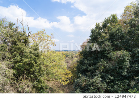 從展望台眺望鶴見川河口（多摩Hills、橫山路） 124947478