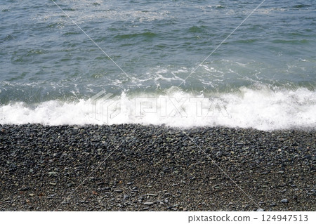 一個海灘 124947513