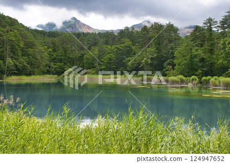 [Fukushima Prefecture] Goshikinuma Lakes and Ponds, Bentenuma 124947652