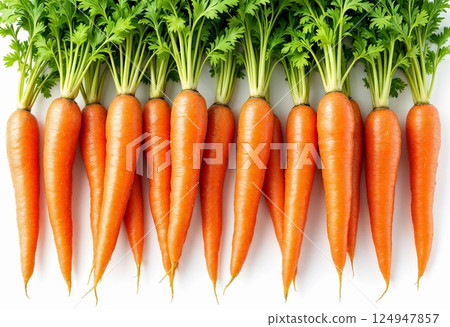 Freshly Harvested Carrots Lined up Against a Bright Background. Generative AI 124947857