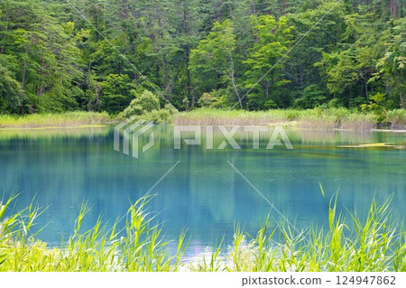 [Fukushima Prefecture] Goshikinuma Lakes and Ponds, Bentenuma 124947862
