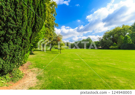 Countryside view of green field. Nature landscape 124948003