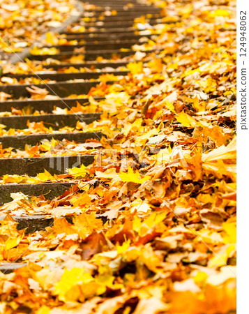 Concrete path drowning in leaves. 124948062