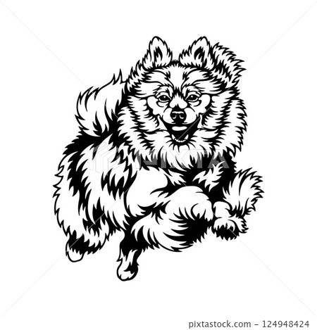 Pomeranian Dog Breed - Pet Vector Cut file, Dog Silhouette Stencil - Cricut file 124948424
