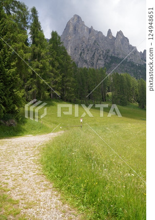 Majestic Mountain View With Lush Green Meadow Path Majestic Mountain View With Lush Green Meadow Path 124948651