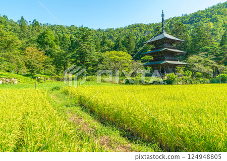 夏日藍天下,三層寶塔矗立在稻田前 夏日藍天下,三層寶塔矗立在稻田前 124948805