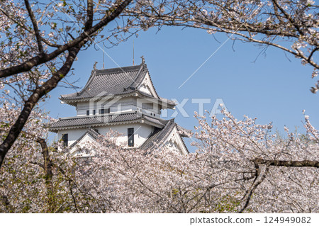 宮崎市高岡市雨城公園櫻花盛開 宮崎市高岡市雨城公園櫻花盛開 124949082