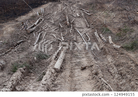 Dirt road with logs and tree branches Dirt road with logs and tree branches 124949155