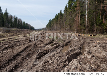 Cut down forest along the railway 124949157
